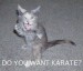 2008_05_28_karate.jpg